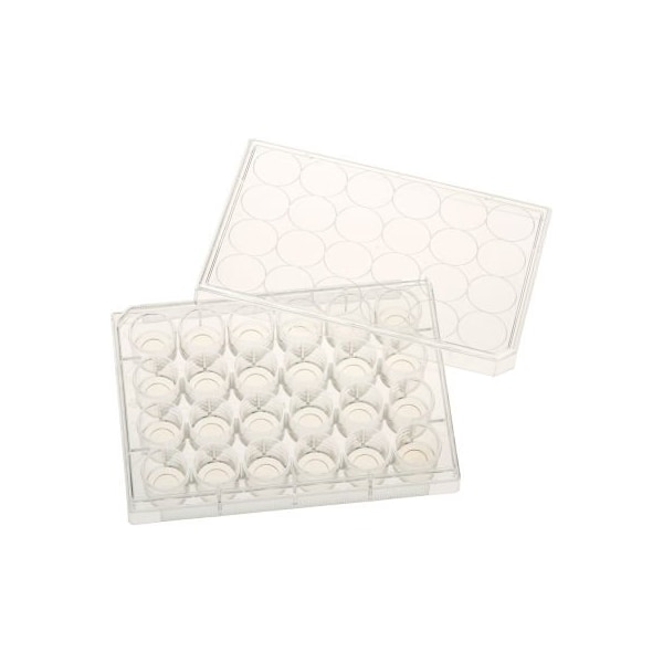 Celltreat Scientific Products CELLTREAT 24 Well Tissue Culture Plate with Lid, 10mm Glass Bottom, Individual, Sterile, 5/PK 229125 - main